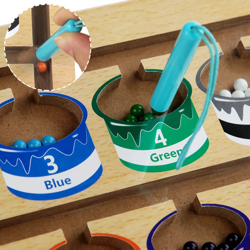 Montessori Magnetic Pen Game for Color Sorting and Counting