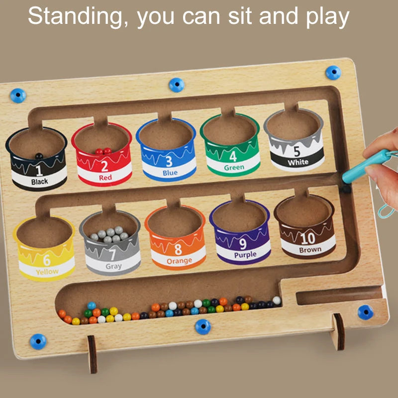 Montessori Magnetic Pen Game for Color Sorting and Counting