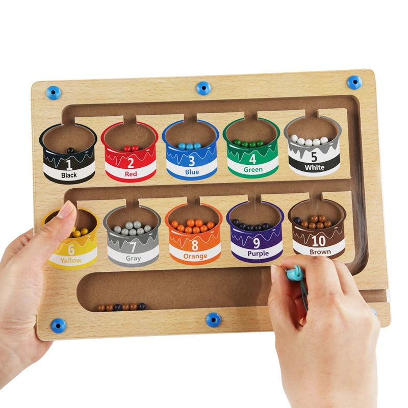 Montessori Magnetic Pen Game for Color Sorting and Counting